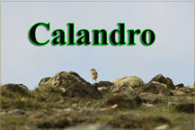 c67a1c5d-2a31-4db6-be82-ea0e8486251f