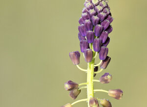 Ambiente Scrivia 2021