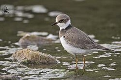 c8481b69-ec53-423a-810b-ef8c3ab62b87