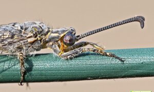 Ambiente Scrivia 2022