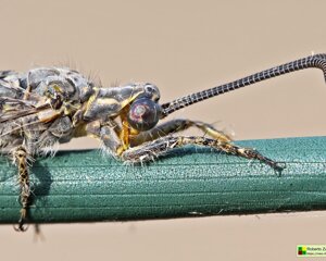 Ambiente Scrivia 2022