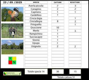 a9323ab6-b73b-4653-981c-f568d1d1953d