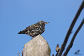 7da31e1d-4160-4c0b-a82a-97987eeb45e5