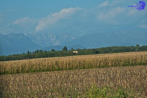 332150f5-a48a-4c3f-9df4-40bc2dd7bb1c