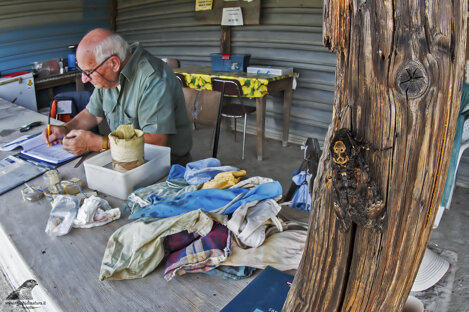 1138167c-2ee1-4e75-80a6-6d145fb563a8