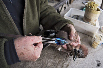 57670712-f794-481c-a614-d56e056ec9e4