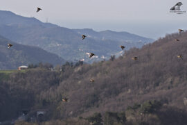 58ab1a58-438a-4fd6-bf66-1f2db72f94e5