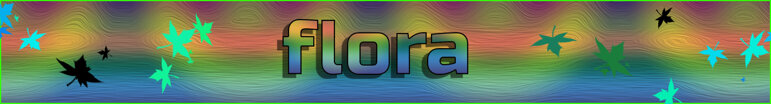 flora.jpeg