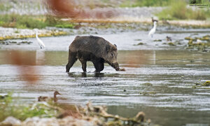 Ambiente Scrivia 2019