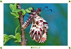 010-profilo.jpeg 010-profilo.jpeg