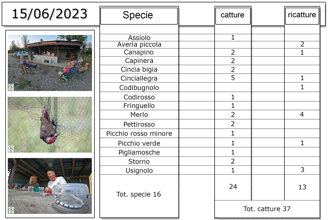 f481e6ff-df90-4ba5-b328-fd098bbb2828