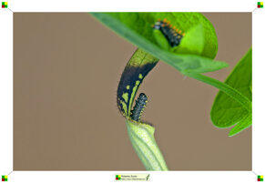 68a948c1-de30-4299-8b4b-3584a156f2ea