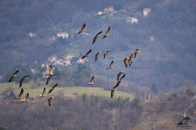 3f9c9150-ca8e-48ed-9f9b-630613f1ccd9