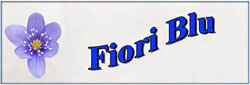 fiori-blu