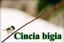 abbe5f14-5239-42b7-a4bb-cb4fd3a6f395