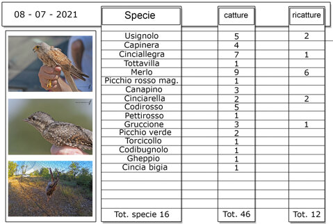 72b7ca5b-cf5b-45f2-a715-e7442795bf07