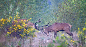 Ambiente Scrivia 2023