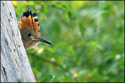 3df4b9eb-6375-43d9-86f4-01e88c2147b1