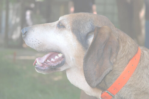 9afdbdac-7754-4bc7-9029-88d55560e155