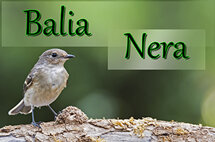 77be6966-ea2b-468e-8b07-0af8071a8650