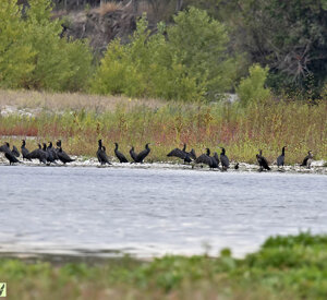 Ambiente Scrivia 2022