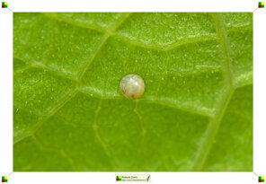 ab86646a-9e46-41f8-a8ef-4a93c91c09db