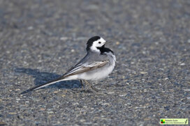 768ec710-b917-4a25-9567-58cfb36d8f73