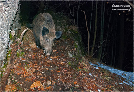 8e98d165-1564-433b-9b74-d3837c62379c