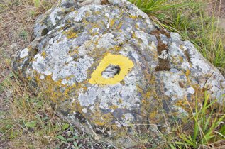 0114a9f7-a0dc-49bb-b4f1-eda72bb295a5