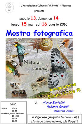 natura-curiosa-rigoroso-2016