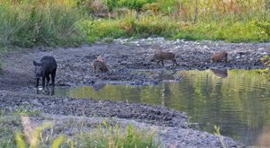 Ambiente Scrivia 2022