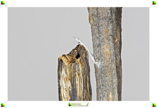 540aa667-8ab6-43cc-9818-ccaf43d96146