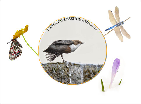 6ca54f2f-da7c-423d-a84a-09cd175f078f