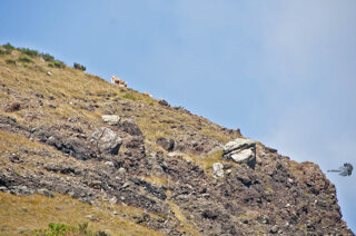 c65fa85e-d770-4b44-a183-7586ba56d904