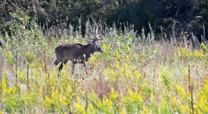 Ambiente Scrivia 2022