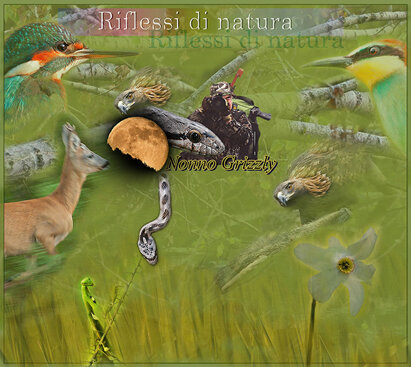 f36b4937-5b19-43a3-b349-cfb695333d0e