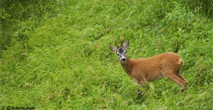 639d6c28-3d4e-4a83-b291-6db3f5fedca3