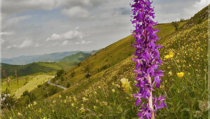 Parco Antola - Liguria