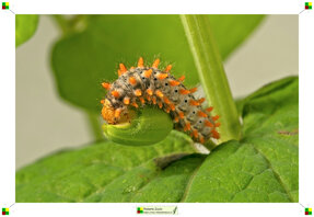 49560ae9-f4f5-4f2f-9c71-1ed31ed05f0a