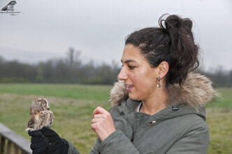 0175e5ba-9adf-415d-8d3a-94486b461ccf