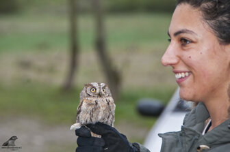 9ae06961-e431-4d30-b0c7-c9a5b35f2986