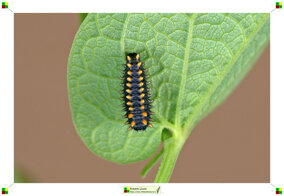 58929c2c-d68f-4491-a6da-9c29a18ee9d6