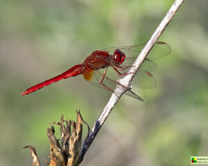 Ambiente Scrivia 2023