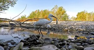 Ambiente Scrivia 2022 : fermo immagine di un video