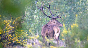 Ambiente Scrivia 2023