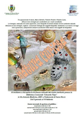 natura-curiosa-serraricc