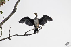 0255d538-ec2e-4c66-b103-6659ffb5e0ba