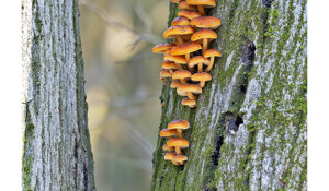 1ab89a47-af20-4054-9434-99a759bc9e43