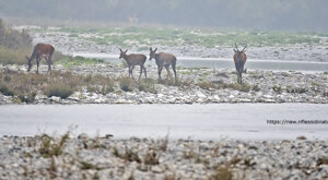 Ambiente scrivia 2021