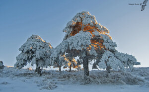 Tramonto a tana d'Orso
